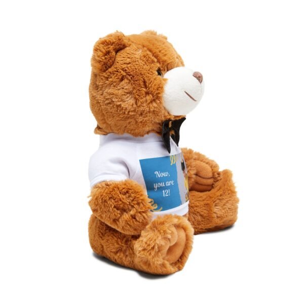 Personalized Teddy Bear, Cute Gift for Birthdays, Baby Showers, Kids' Room Decor, Plush Toy with Custom T-Shirt Design