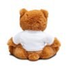 Personalized Teddy Bear, Cute Gift for Birthdays, Baby Showers, Kids' Room Decor, Plush Toy with Custom T-Shirt Design